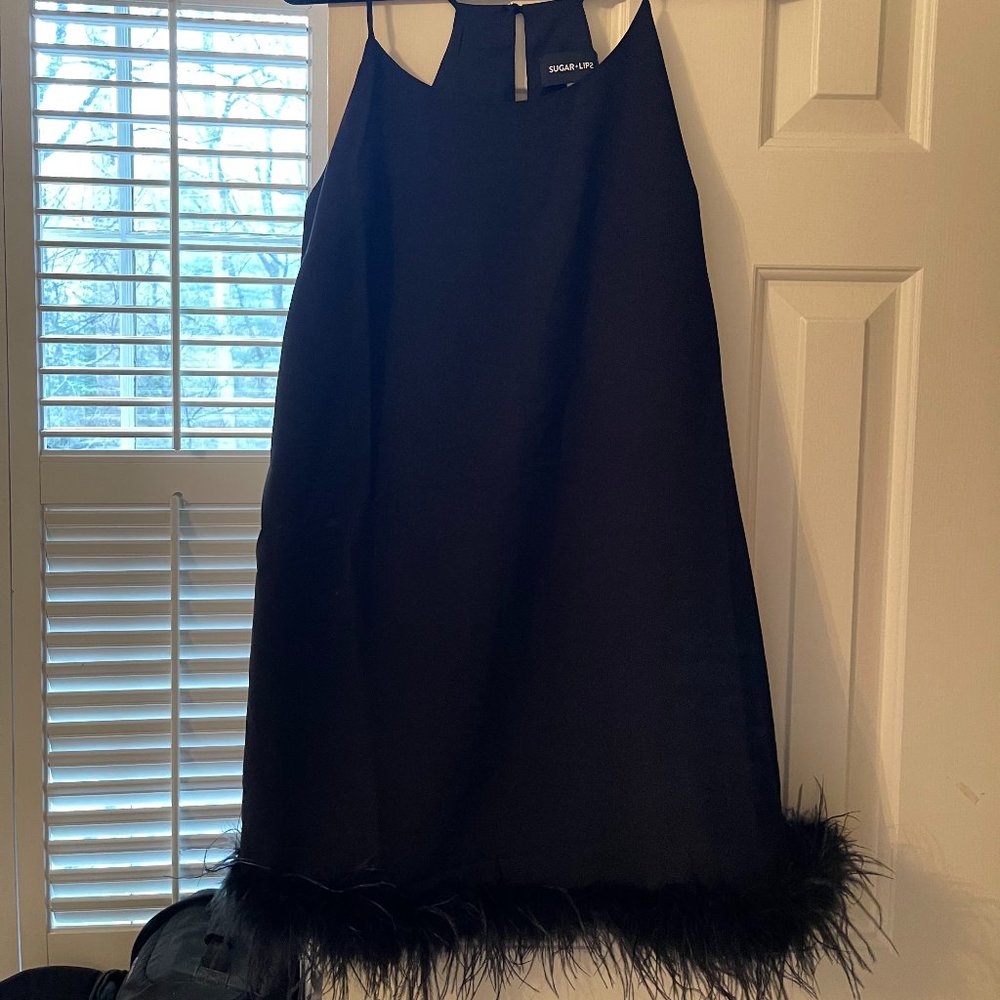 Black Feather Dress